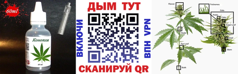 Cannafood конопля  Купить закладки  Десногорск 