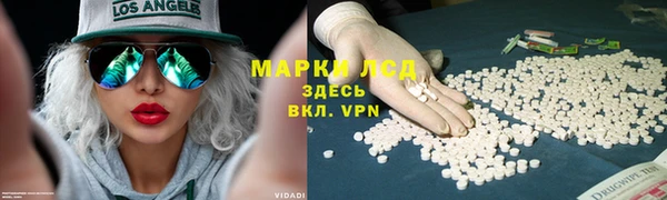 спиды Богородск