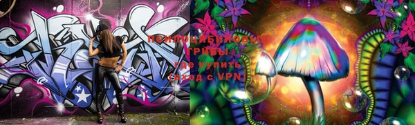 a pvp Богданович