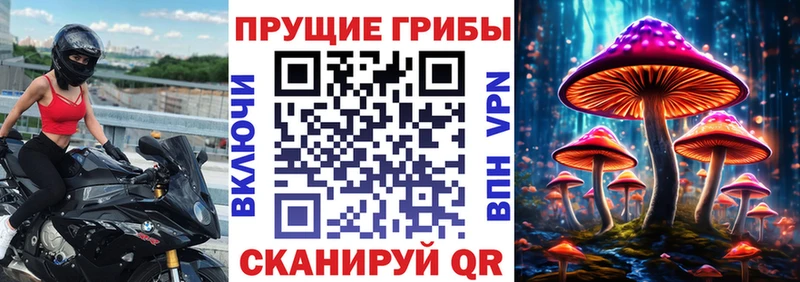 Галлюциногенные грибы ЛСД  Купить где  Десногорск 